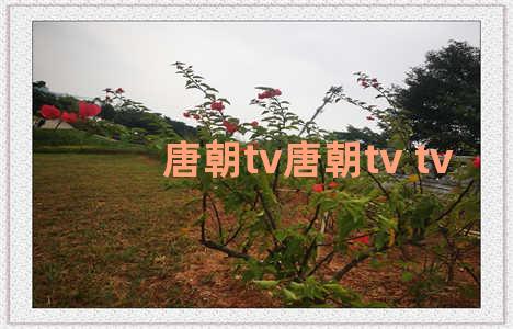 唐朝tv唐朝tv tv